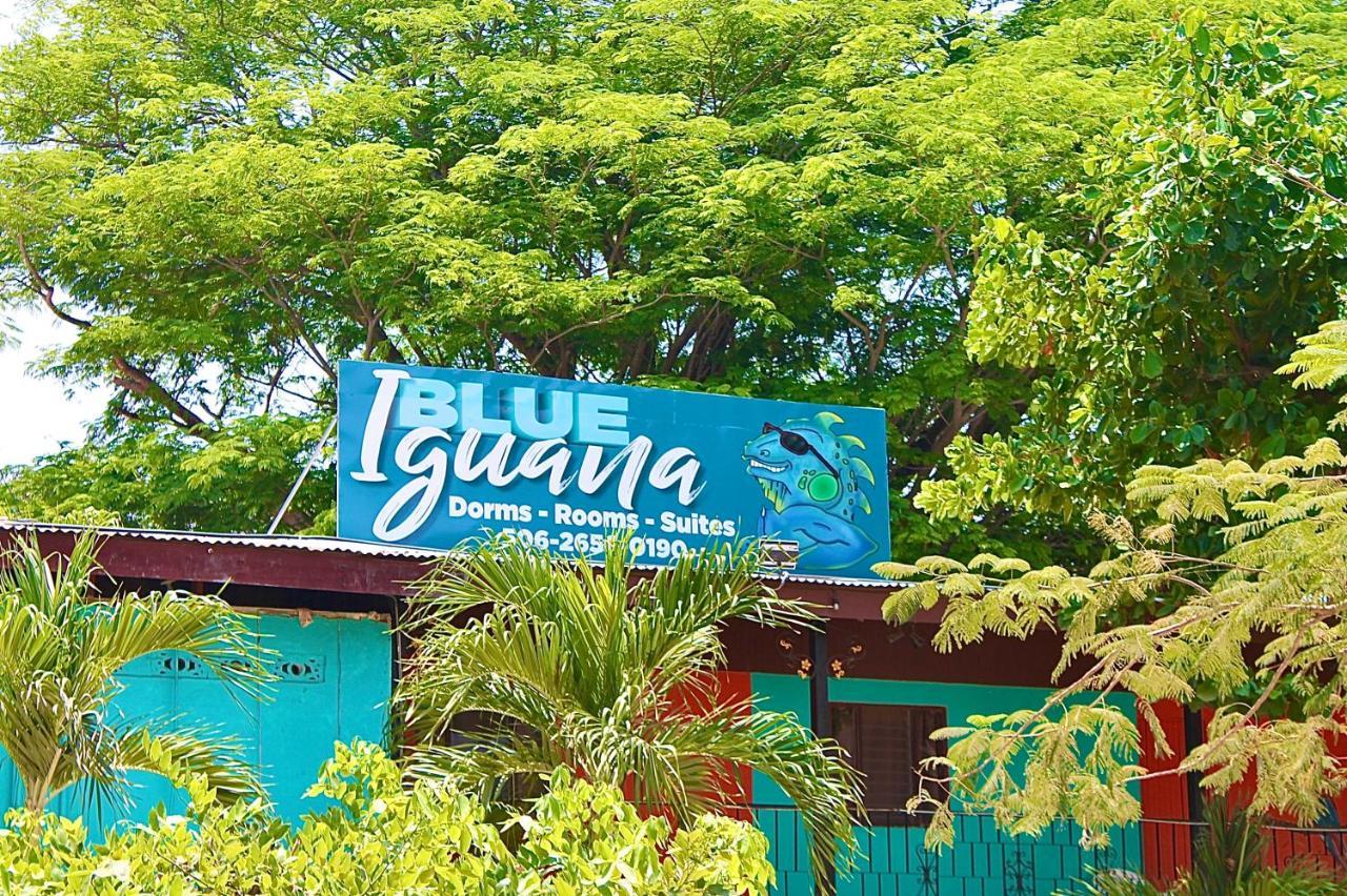 فندق Blue Iguana Sámara المظهر الخارجي الصورة