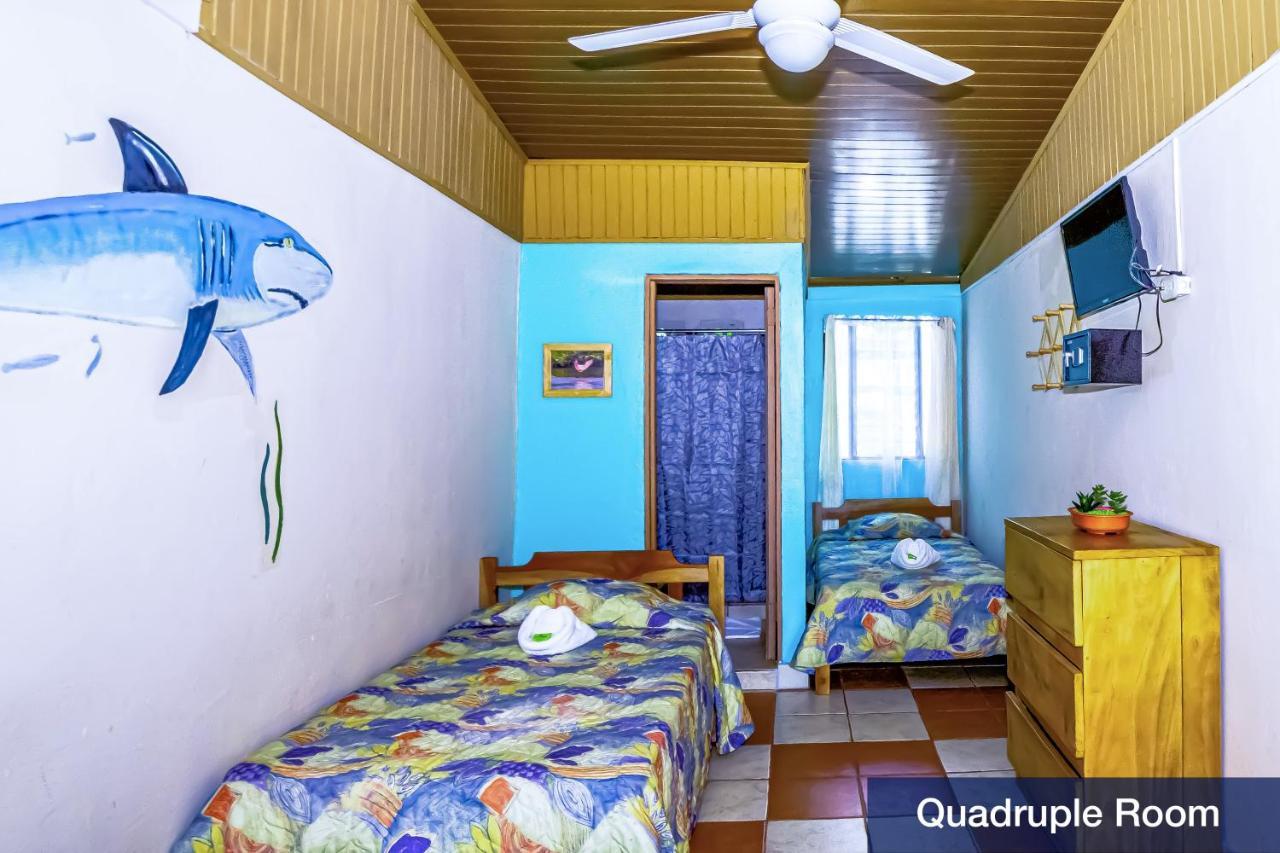 فندق Blue Iguana Sámara المظهر الخارجي الصورة