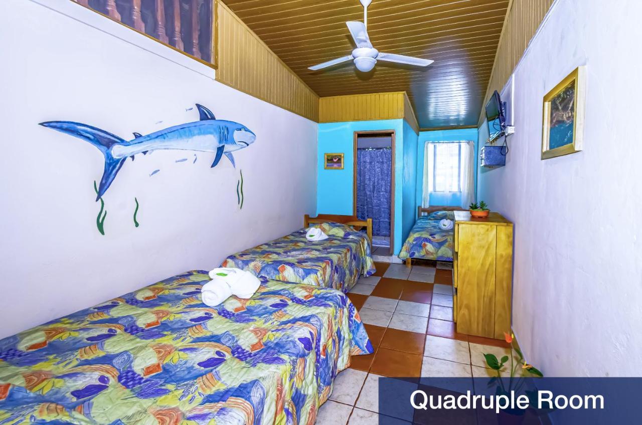 فندق Blue Iguana Sámara المظهر الخارجي الصورة